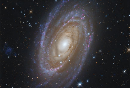 M81